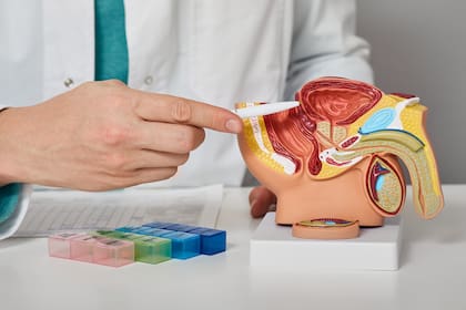 La próstata se puede desinflamar con tratamientos farmacológicos que “son muy buenos y tienen pocos efectos adversos”, explica López Silva