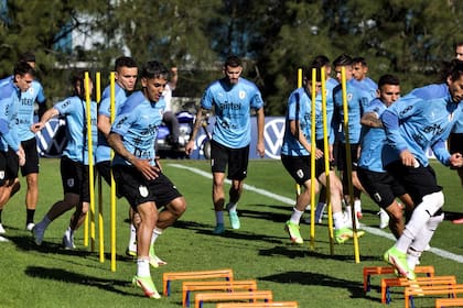 Uruguay, con ausencias de peso para el clásico del Río de la Plata: no contará con Cavani, De Arrascaeta ni De la Cruz