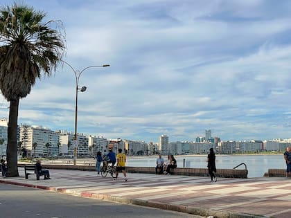 Uruguay era considerada como la “plataforma perfecta” por su abundante energía renovable y su sólida red eléctrica