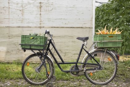 Usá la bici todo el año. La actividad física se recomienda para mantener la salud de nuestro sistema inmunológico.