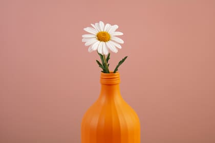 Usar una botella como florero es una forma original y sustentable para hacer arreglos primaverales