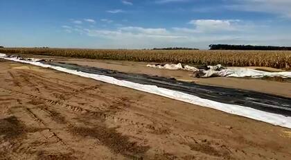 Usaron al menos 10 camiones para llevarse el grano