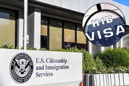 USCIS implementará un proceso de selección para el programa de Visas h-1B