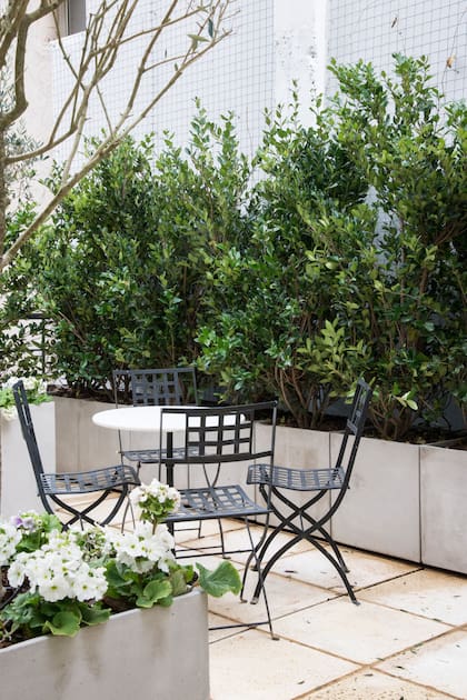 Uso exclusivo revista Jardin