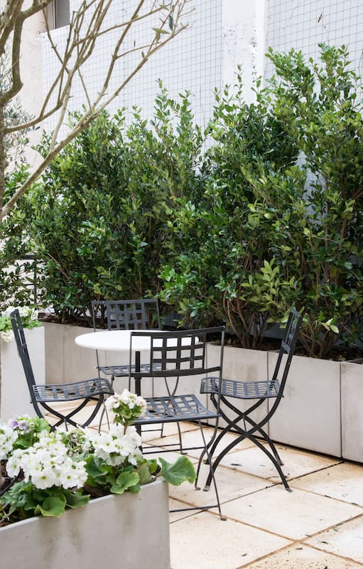 Uso exclusivo revista Jardin