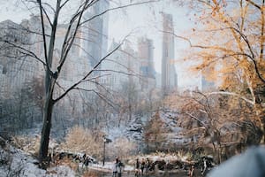 Usualmente, las tormentas de nieve más intensas ocurren entre enero y febrero durante el invierno en Nueva York
