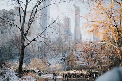 Usualmente, las tormentas de nieve más intensas ocurren entre enero y febrero durante el invierno en Nueva York