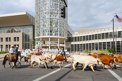 Utah celebra el Día de los Pioneros con rodeos, desfiles y otras actividades del 21 al 24 de julio (Visit Salt Lake)