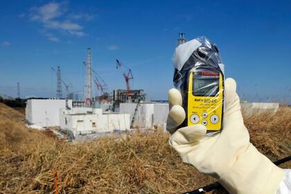 Utilizarán tierra ligeramente radiactiva de Fukushima en los jardines del primer ministro de Japón