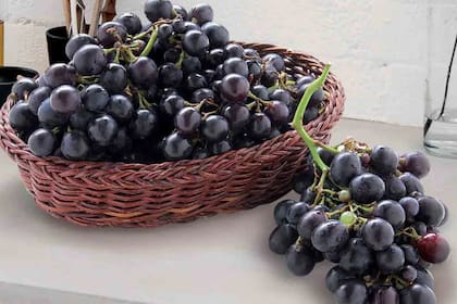 Uvas