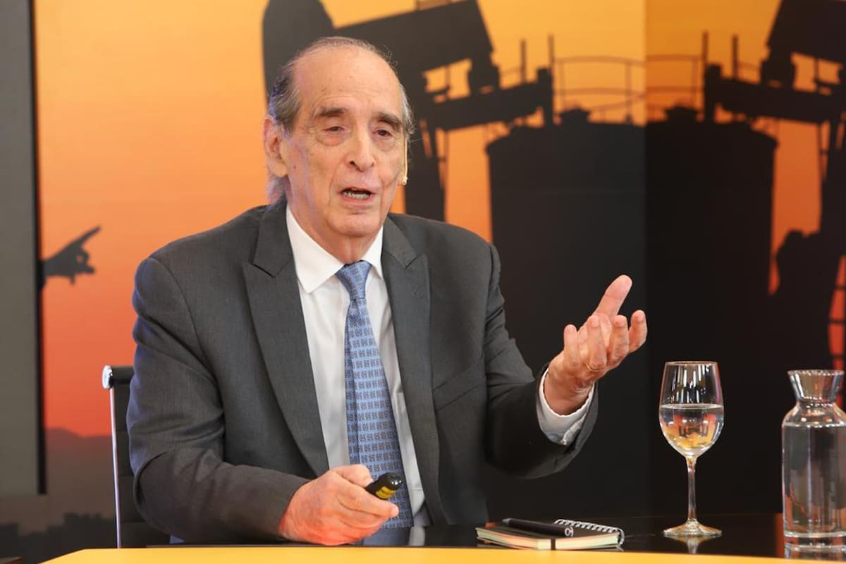 Vaca Muerta, Ricardo Arriazu, economista