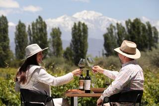 Vacaciones de verano entre viñedos