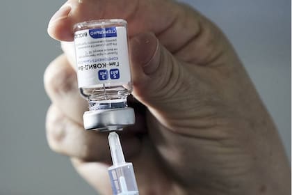 Vacunación Covid 19 en Argentina: cuántas dosis se aplicaron al 20 de enero