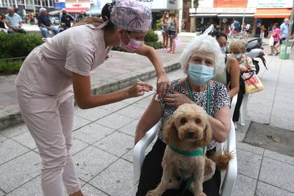 Vacunacion Mar del Plata