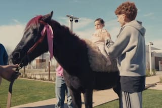 Valentín Barco le regaló un pony teñido de rosa a su hija de 1 año y lo acusaron de maltrato animal