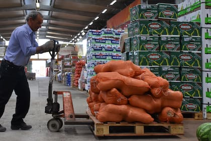 "Vamos a tratar de que el producto que le llega al consumidor tenga un valor que no esté distorsionado”, dijo Díaz a LA NACION