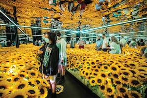 Van Gogh Live es una de las propuestas sensoriales más existosas del mundo y ofrece mucho más que pantallas