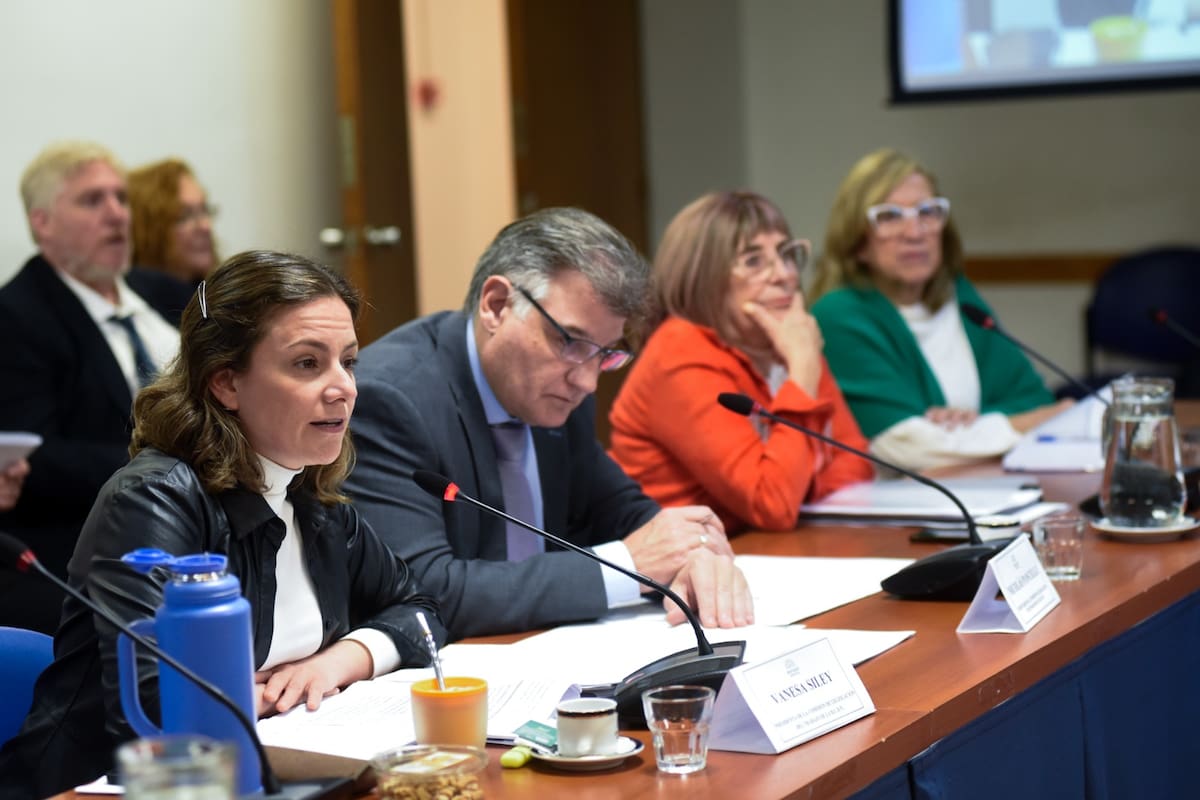 Vanesa Siley, presidenta de la Comisión de Legislación del Trabajo