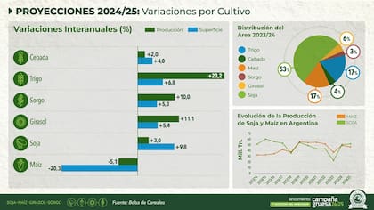 Variaciones por cultivos en siembra y producción