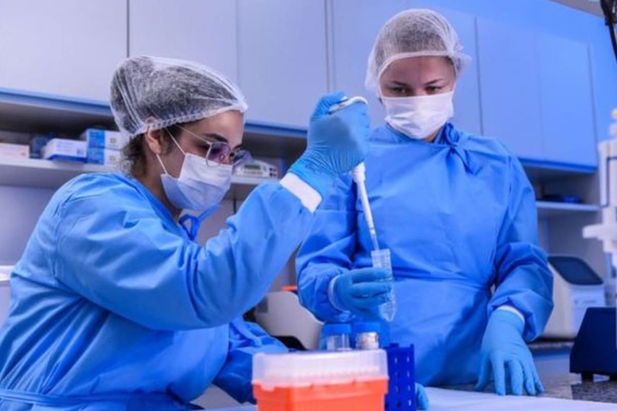 Varias compañía desarrollan vacunas.