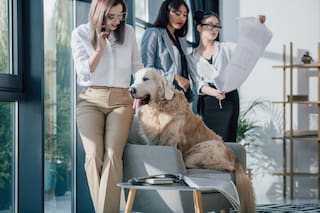 Las oficinas pet friendly suman cada vez más adeptos