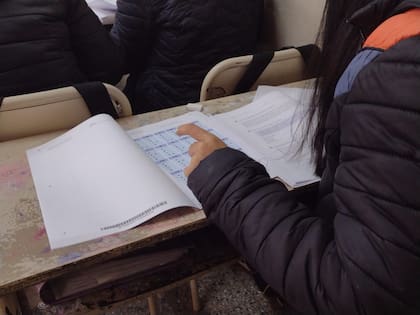 Varias hipótesis podrían explicar el alarmante mal desempeño en matemática