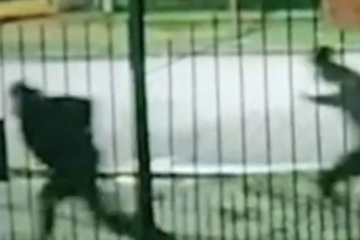 Varias personas huyen de un tiroteo en Rafael Castillo en donde una joven perdió la vida