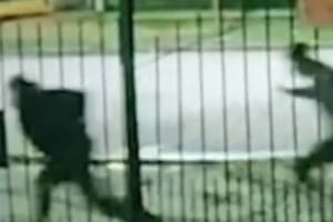 Varias personas huyen de un tiroteo en Rafael Castillo en donde una joven perdió la vida