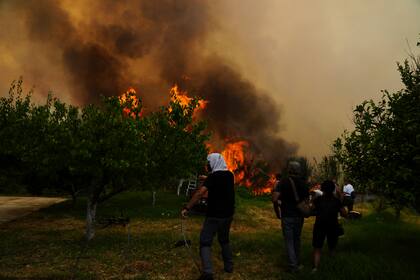 Varias personas tratan de controlar un incendio forestal en Vounteni, a las afueras de Patras, en el oeste de Grecia, el 13 de agosto de 2025. (AP Foto/Thanassis Stavrakis)