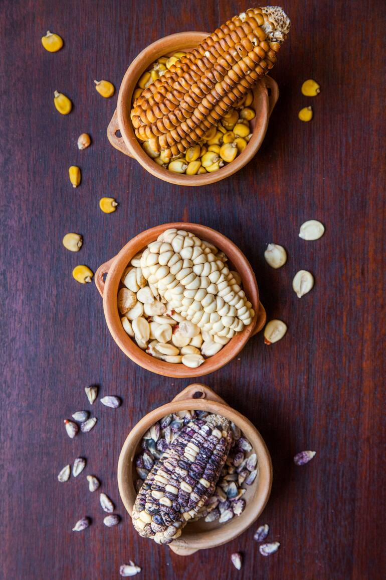 Tres tipos de maíz, algunos de los que estudia la antropóloga Mercedes Costa, especialista en la cocina precolombina.