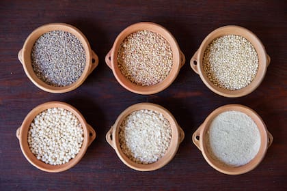 Seis tipos diferentes de quínoa, ingrediente esencial del menú andino.