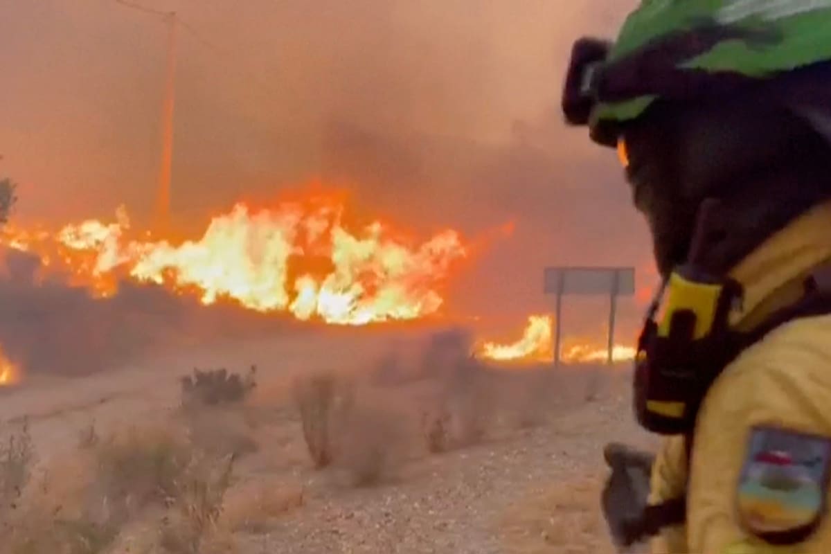 Varios bomberos combaten un incendio forestal cerca de Los Gallardos, en Almería, España