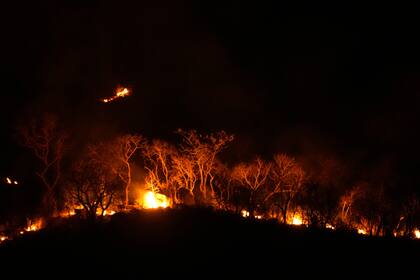 Varios incendios se propagan en el área ambiental protegida de Pouso Alto, en el Parque Nacional de Chapada dos Veadeiros, durante la temporada de estiaje, en Colinas do Sul, estado Goias, Brasil, el lunes 9 de septiembre de 2024. (AP Foto/Eraldo Peres)