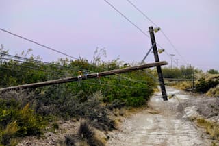 Por los vientos extremos, hay aleta naranja y se suspenden las clases en Puerto Madryn