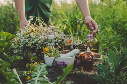 Varios sistemas de medicina tradicional que se utilizan en todo el mundo incluyen medicinas a base de hierbas, la homeopatía y la medicina ayurvédica