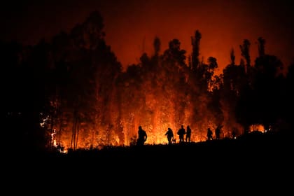Varios voluntarios llevan suministros para los bomberos cerca de árboles que arden el sábado 4 de febrero de 2023, en Puren, Chile
(AP Foto/Matías Delacroix)