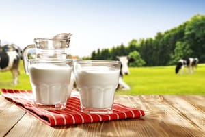 Vaso de leche