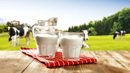 Los productos lácteos como la leche y el yogur son excelentes fuentes de calcio