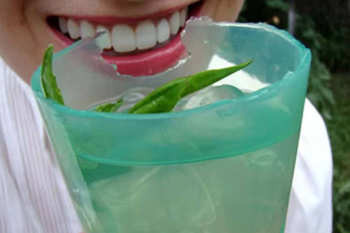 Vaso de bioplástico creado con algas marinas