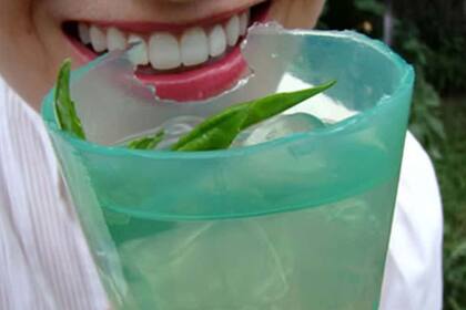 Vaso de bioplástico creado con algas marinas