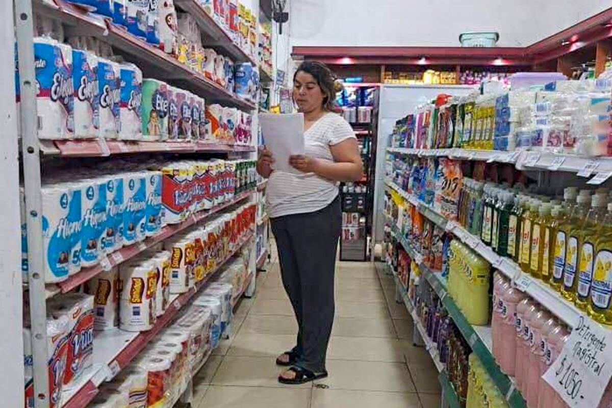 Vecina de Don Torcuato realiza un relevamiento de precios para el Isepci en un autoservicio de General Pacheco, Tigre
Gentileza: Libres del Sur.