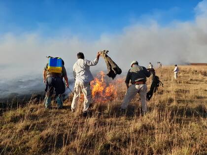 Vecinos combaten el fuego en la propiedad Don Alfredo, en Mercedes Corrientes