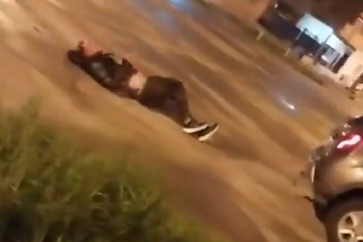 Vecinos de La Matanza lo ataron a una camioneta y lo arrastraron