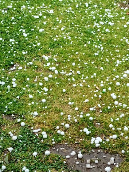 Vecinos de Navarro reportaron que cayó granizo del tamaño de pelotas de golf
