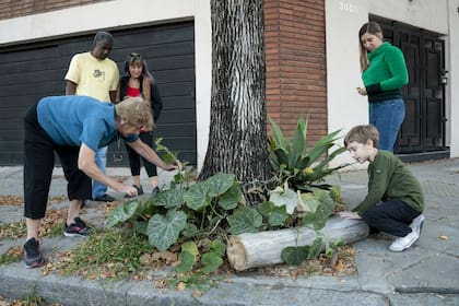 Vecinos de todas las edades colaboran en la huerta callerjera