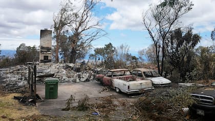Vehículos calcinados se ven junto a una casa destruida por los incendios el lunes 14 de agosto de 2023, en Kula, Hawai. El mismo día que un incendio devastó la localidad de Lahaina, otro golpeó la población de Kula. (AP Foto/Rick Bowmer)