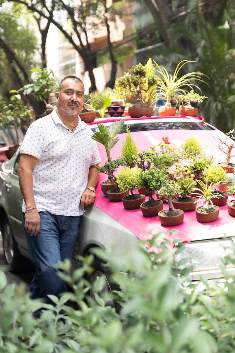 Vendedor de bonsais en el Barrio Condesa