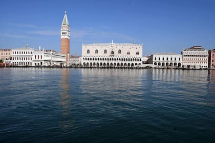 Venecia, sin turistas, se llenó de peces, patos y cisnes, en algunos lugares hasta puede verse el fondo