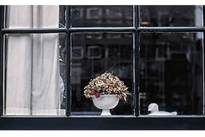 Ventanas y reflejos en las imágenes de Hugo Kovadloff; "Ver es presentir", escribe su hermano