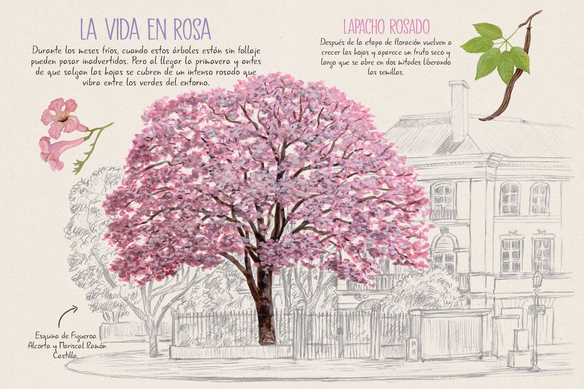 "Veo Veo en Buenos Aires" ofrece una guía para recorrer la ciudad con los sentidos bien atentos